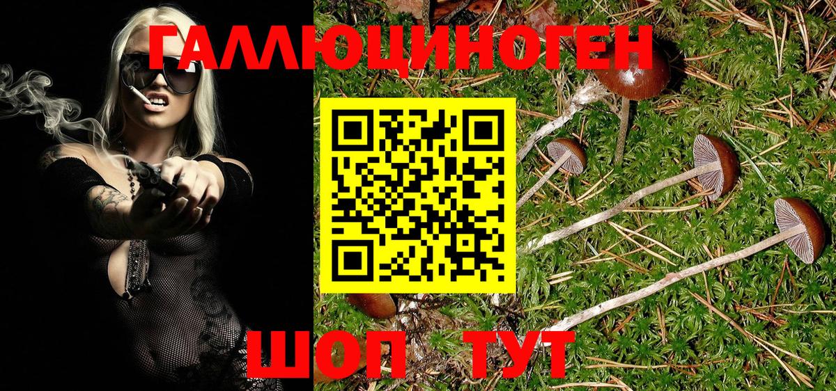 Пятигорск  Галлюциногенные грибы Psilocybe  Псилоцибиновые грибы Magic Shrooms  купить   Вход с VPN 