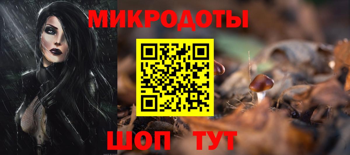 Псилоцибиновые грибы Psilocybe Пятигорск